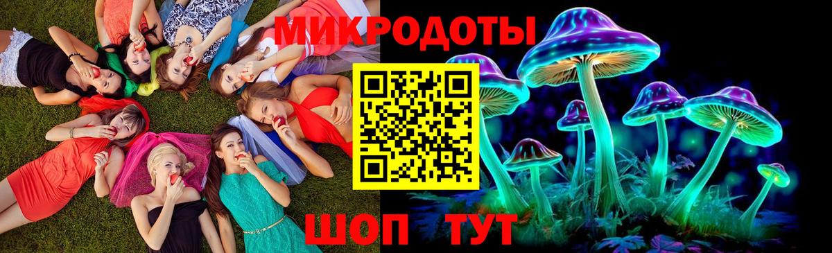 Галлюциногенные грибы Psilocybe  Вход с VPN  Минусинск  Галлюциногенные грибы прущие грибы 